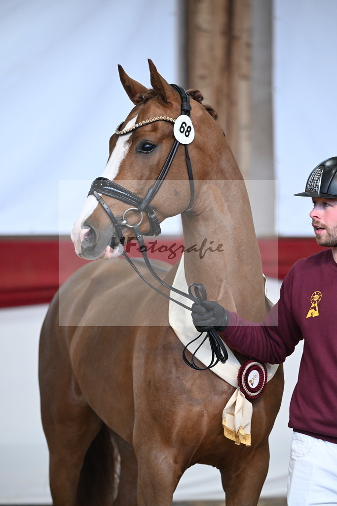 Kat.-Nr. 68 v. Juwel_Westhoff _ Rothenberger_3265570 | hf-fotografie - Realisiert mit Pictrs.com