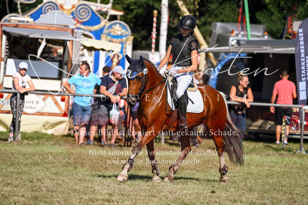 DSC_5338 | Pferde- und Turnierfotografie in Westsachsen. Pferdeportraits, Auftragszeichnungen und intuitive Kunst.