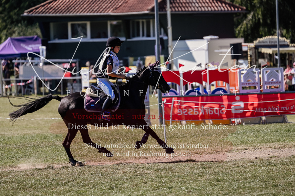 DSC_1936 | Pferde- und Turnierfotografie in Westsachsen. Pferdeportraits, Auftragszeichnungen und intuitive Kunst.