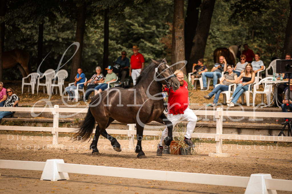4.Sa00049 | Leoni Ertmer Photography - Realisiert mit Pictrs.com