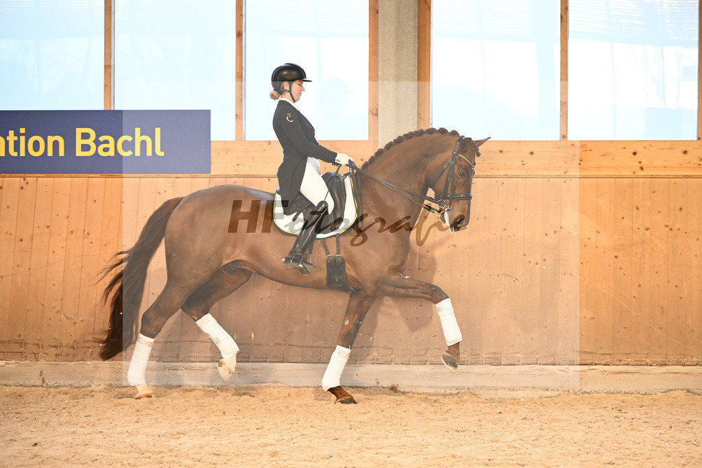 Va Bene_7240991 | hf-fotografie - Realisiert mit Pictrs.com