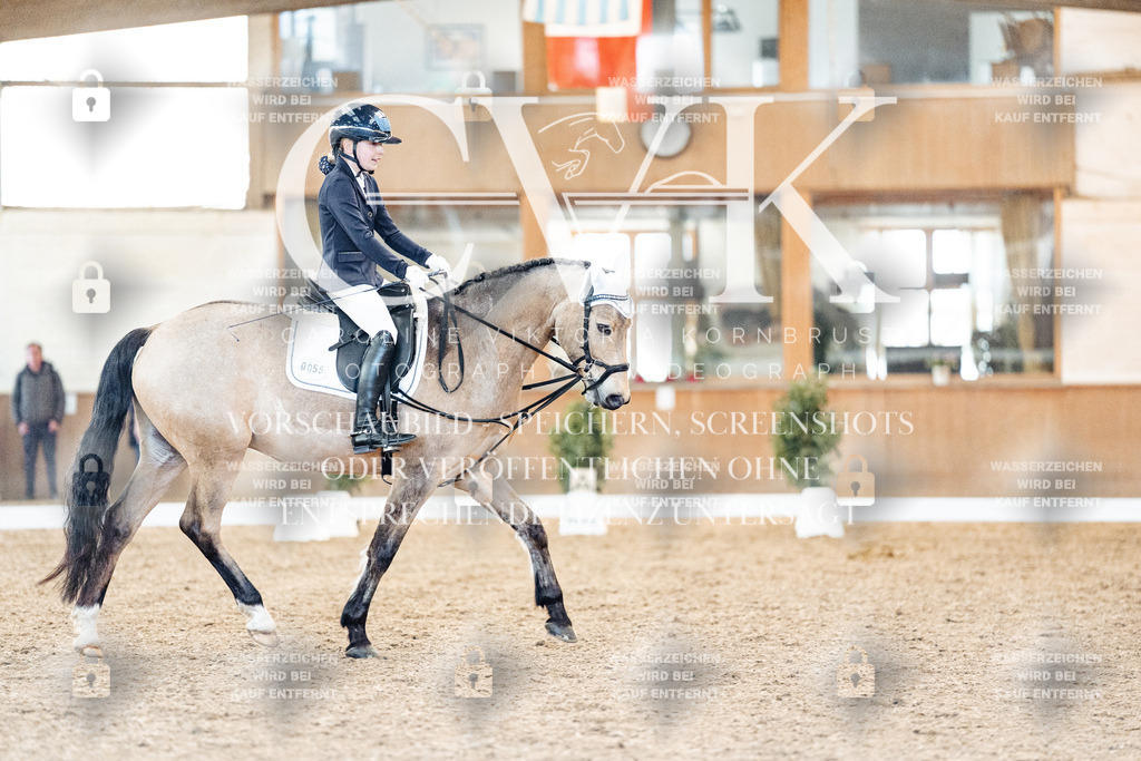 CK907375 | Turnierfotografie Pferdefotografie Trier Rheinland-Pfalz Pferdesport Reitsport Tierfotografie Sportfotografie Pferdevideo Pferdevideografie Equestrianvideography equestrianphotography  - Realized with Pictrs.com