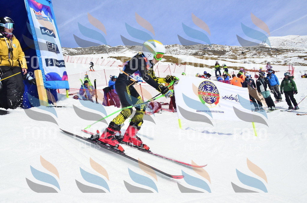 _ELE1825 | holidayphoto