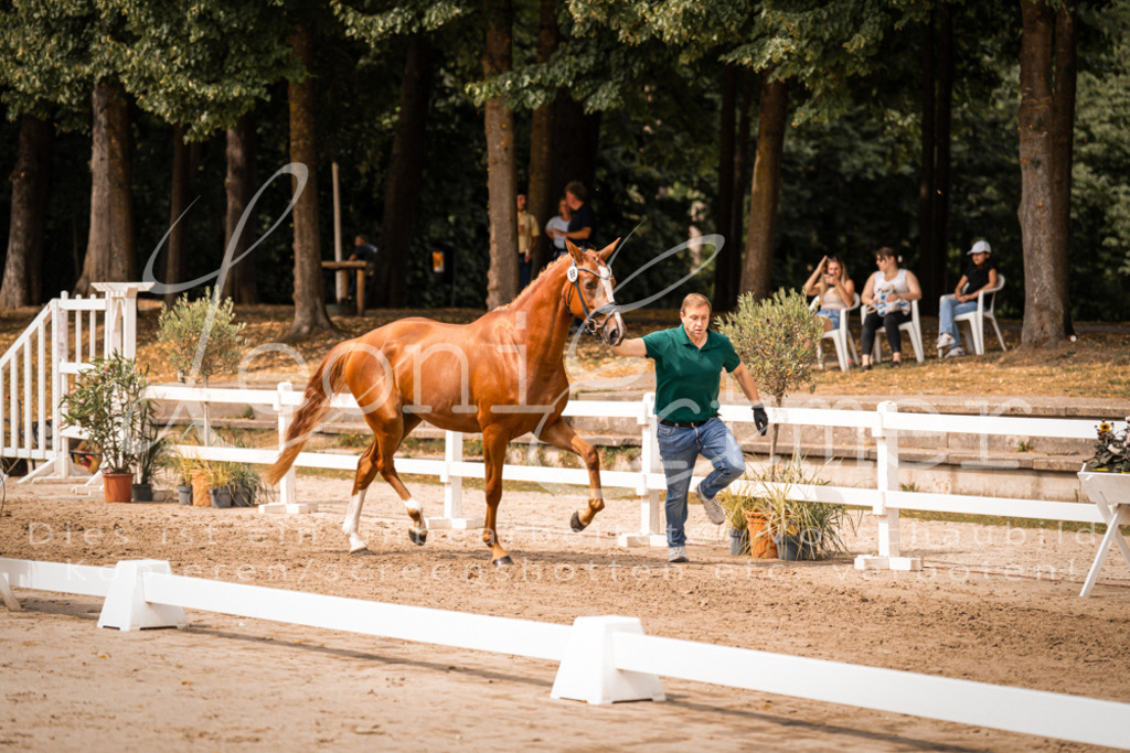 5.Fr00095 | Leoni Ertmer Photography - Realisiert mit Pictrs.com