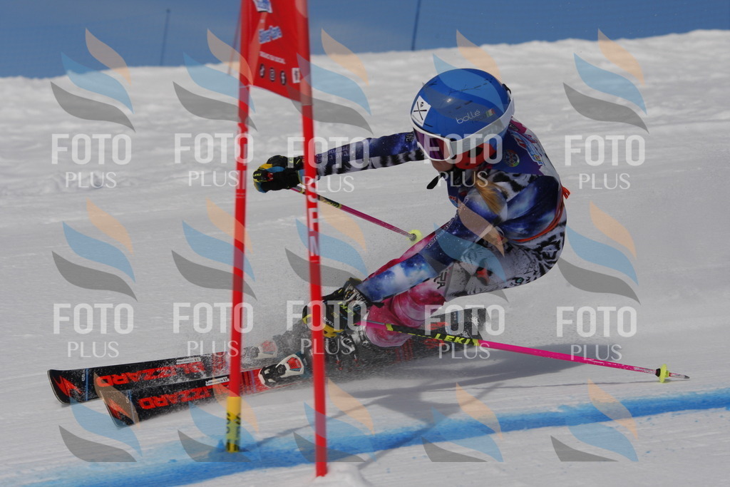 _W1G0255 | holidayphoto