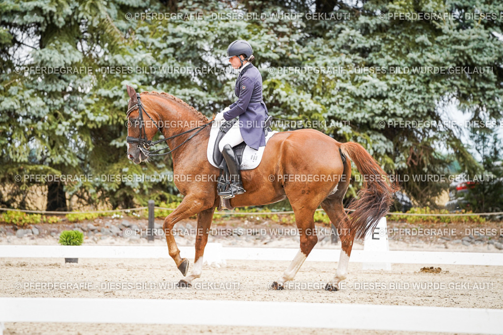 DSC04928 | Pferdegrafie