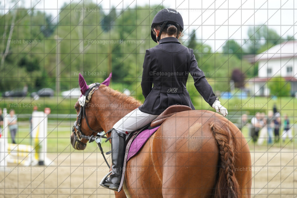 20240630-FAH01225 | Turnierbilder Schwabmünchen, Dressurbilder, Springreitturnier, Reitsportbilder, Turnierfotografen Bayern, Turnierfotograf