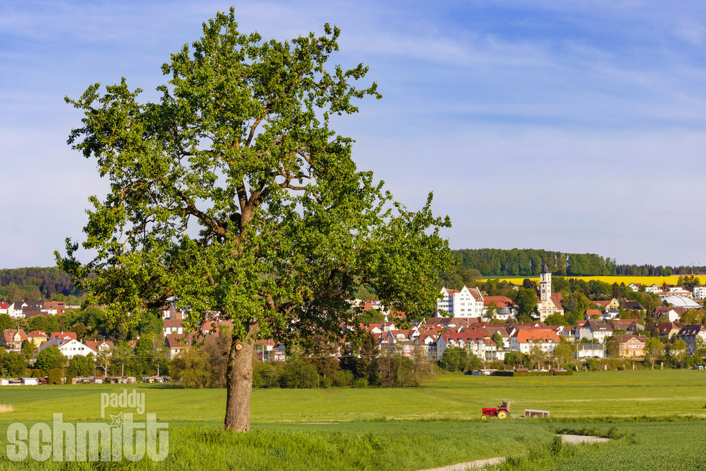 PS-Aulendorf-2026-04 | Entdecke die größte Bildgalerie der Region mit Fotografien aus dem Allgäu, der Bodenseeregion, Oberschwaben, dem Donautal und der Schwäbischen Alb. Landschaften, Luftaufnahmen und Reisefotografie als Wandbild und Fotokunst. - Realisiert mit Pictrs.com