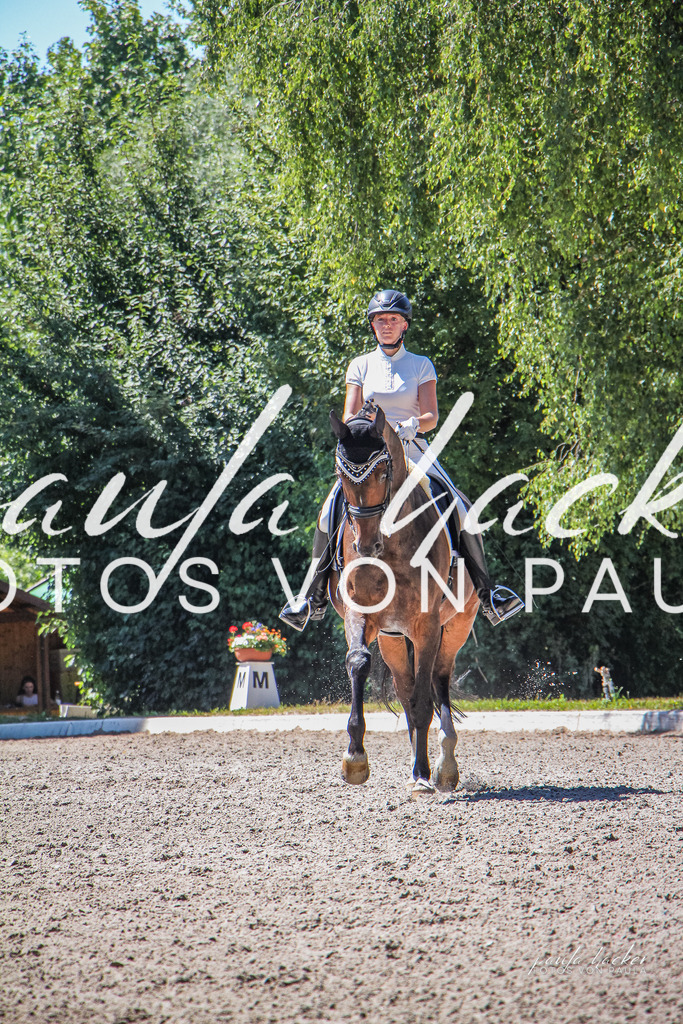 IMG_1421 | Erleben Sie dynamische Sport- und emotionale Tierfotografie in Süddeutschland mit Fotos von Paula. Spezialisiert auf Pferde- und Hundefotografie sowie Sportevents. Kontaktieren Sie mich für einzigartige und ausdrucksstarke Bilder Ihrer besonderen Momente.