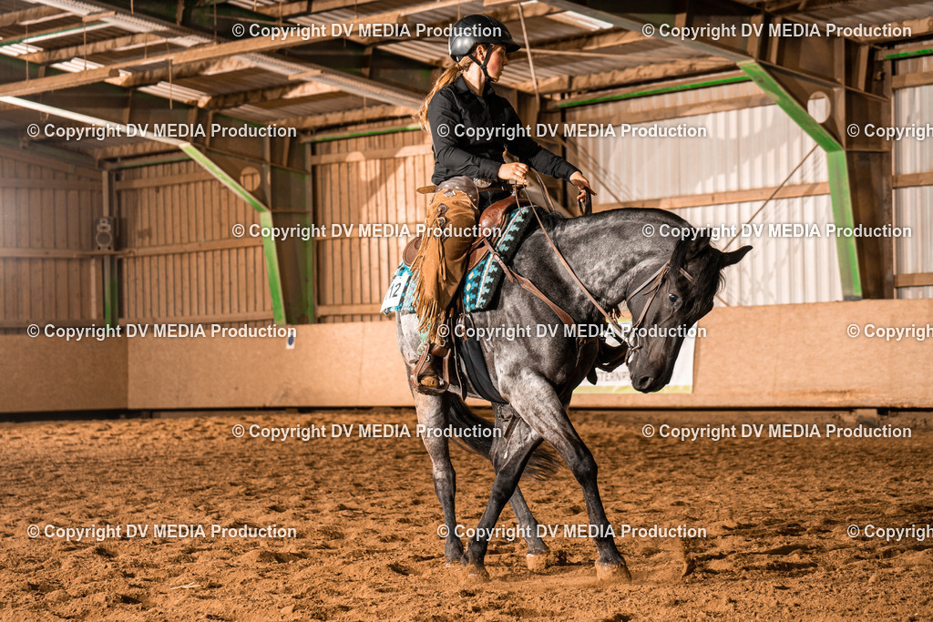 BAL00970 | dv-media-shop - Realisiert mit Pictrs.com