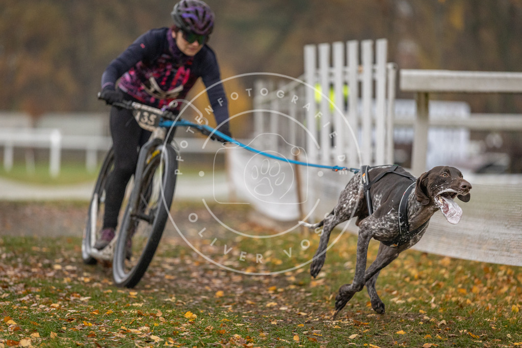 CaniXpix_DV3A7411 | Hundefotografie, Tierfotograf, Pfotenfotografie, Fotoshooting Hund, Hunde Portrait, Hundesport, Hundeportraits, Heideshooting, Hunde, Sportfotograf, Hundefotograf, Turnierhundsport, THS,  - Realisiert mit Pictrs.com