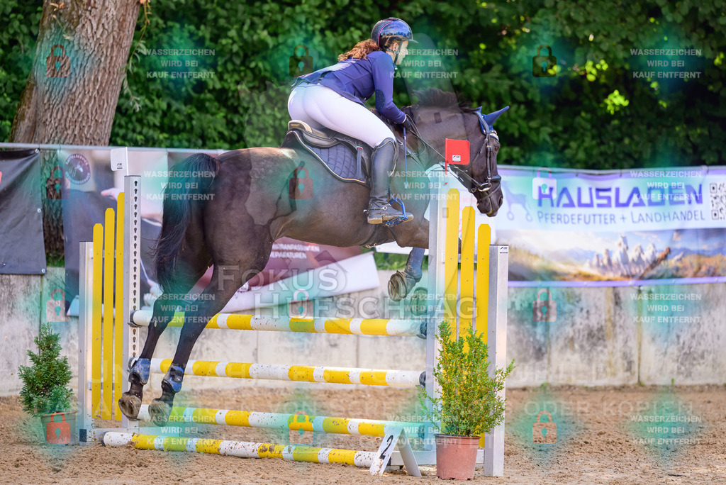 30082026-Giesenbach-Prfg16-0425 | Fokus Hufschlag Fotografie - Realisiert mit Pictrs.com