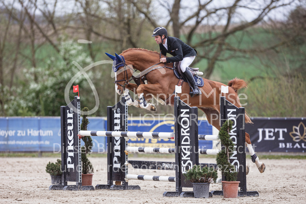 250417_Springpferde-L2-337 | Deine schönsten Turniermomente als professionelle Fotos! Entdecke hochwertige Pferdesport-Fotografie im Online-Shop. Jetzt Fotos finden & bestellen!