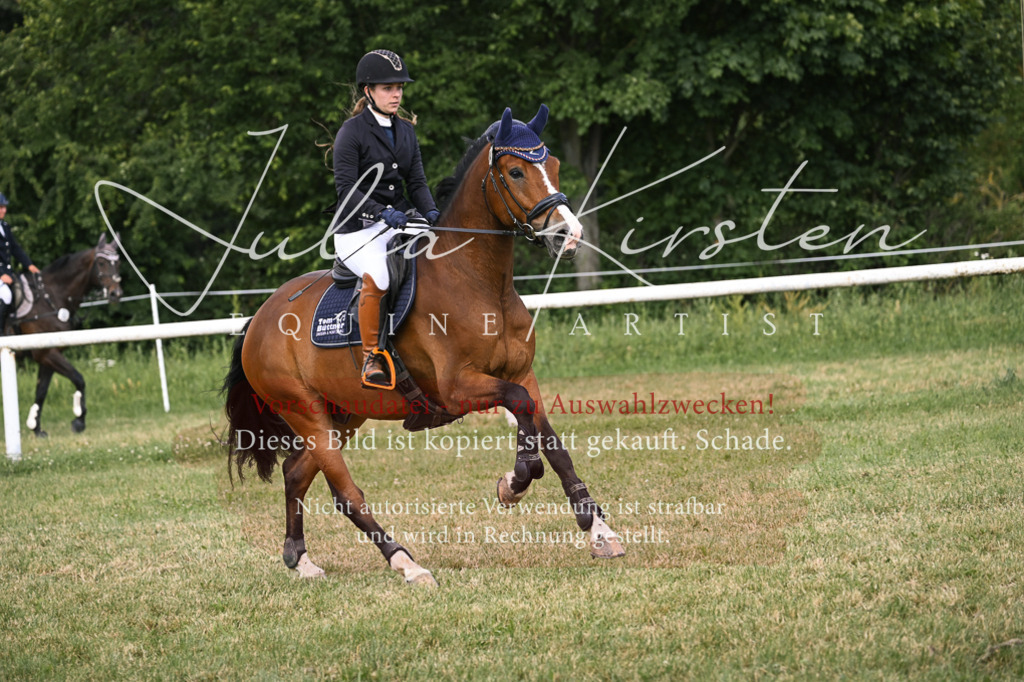 DSC_0900 | Pferde- und Turnierfotografie in Westsachsen. Pferdeportraits, Auftragszeichnungen und intuitive Kunst.