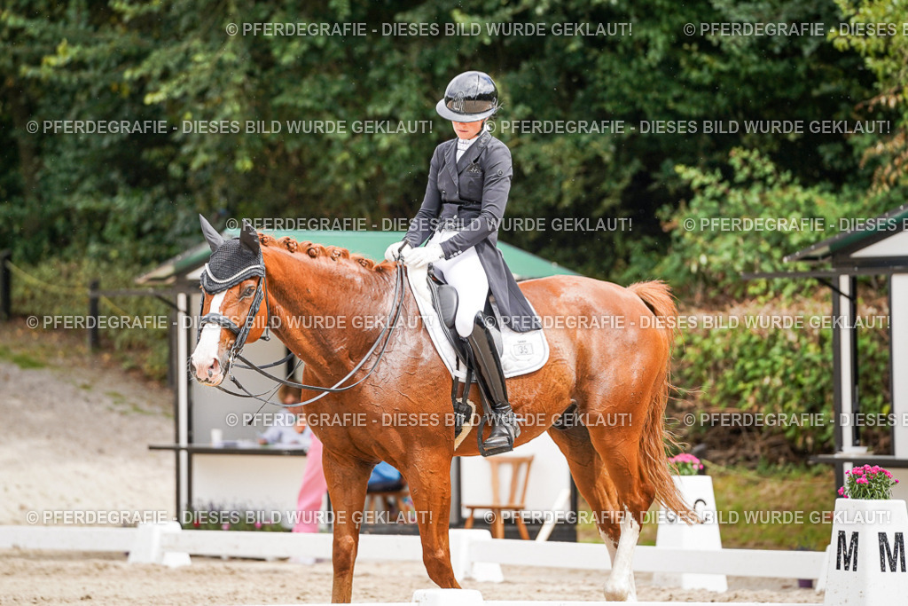 DSC05814 | Pferdegrafie