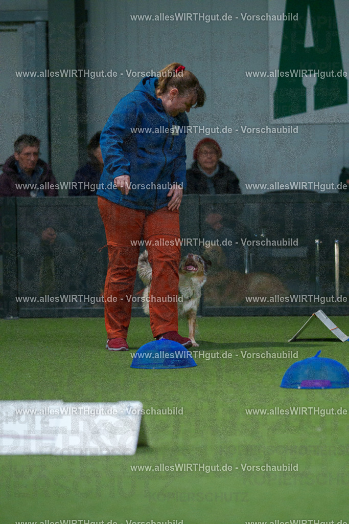 7R500299 | Professionelle Tierfotografie in Mönchengladbach von Daniel Wirth (allesWIRTHgut). Liebevolle & natürliche Bilder von Hunden & Katzen für unvergessliche Erinnerungen.