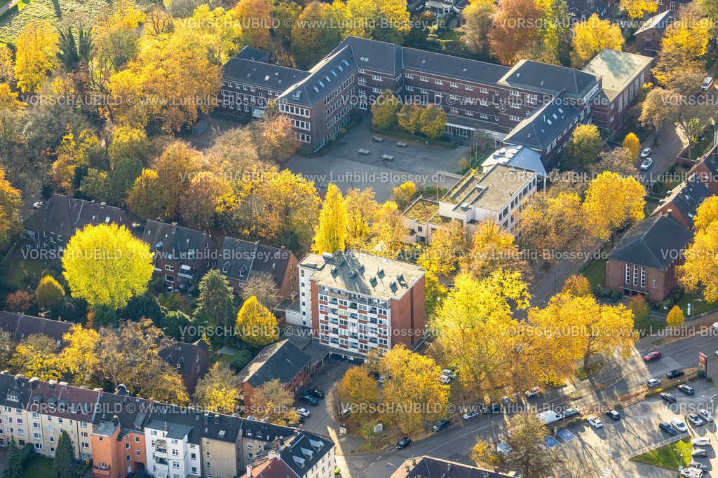 Gelsenkirchen251102974 | Luftbild, Ricarda-Huch-Gymnasium mit Schulhof,  herbstliche Bäume, Bulmke-Hüllen, Gelsenkirchen, Ruhrgebiet, Nordrhein-Westfalen, Deutschland