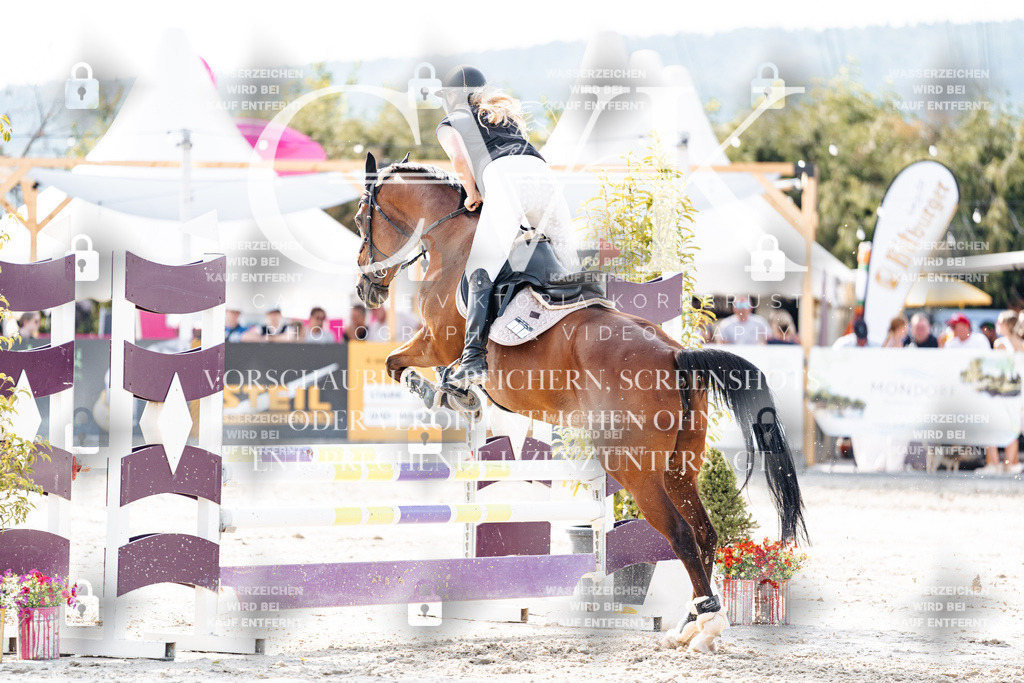 CK906089 | Turnierfotografie Pferdefotografie Trier Rheinland-Pfalz Pferdesport Reitsport Tierfotografie Sportfotografie Pferdevideo Pferdevideografie Equestrianvideography equestrianphotography  - Realisiert mit Pictrs.com