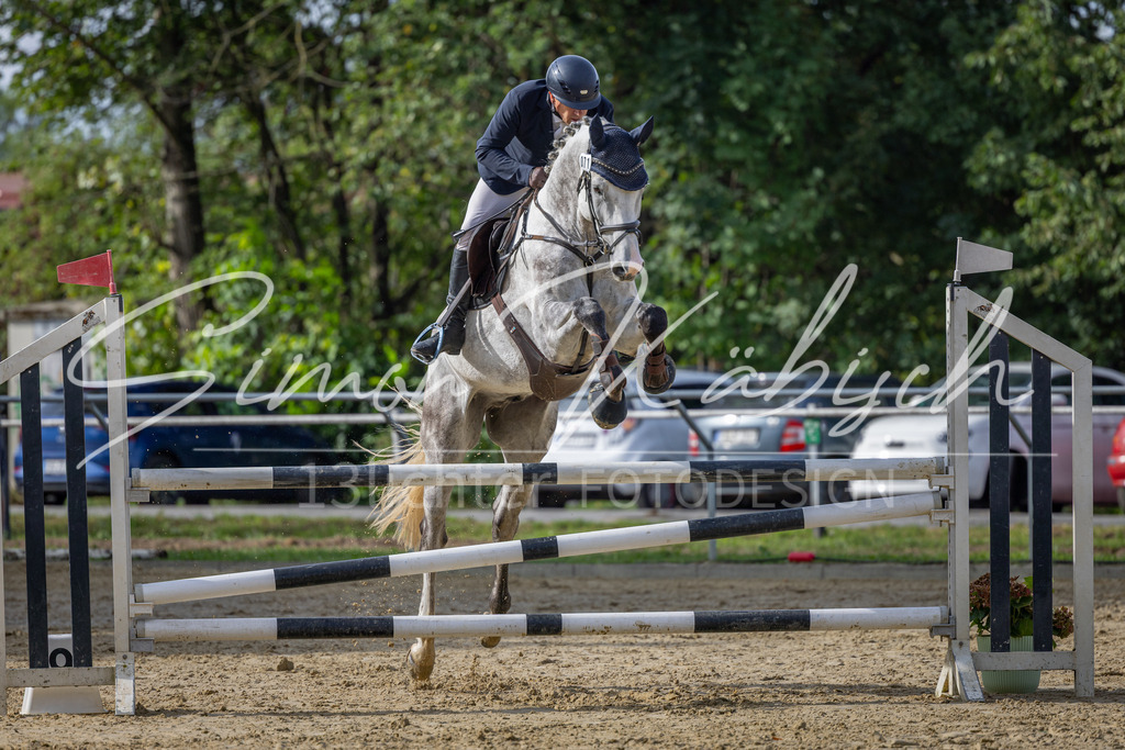 20260905-_3LI7279 | Tierfotografie Pferde, Hunde, Katzen, Haustiere.
Turnierfotografie Reitturniere, Reiten, Springreiten, Dressur in Hanau, dem Main-Kinzig-Kreis und dem Rhein-Main- Gebiet um Frankfurt