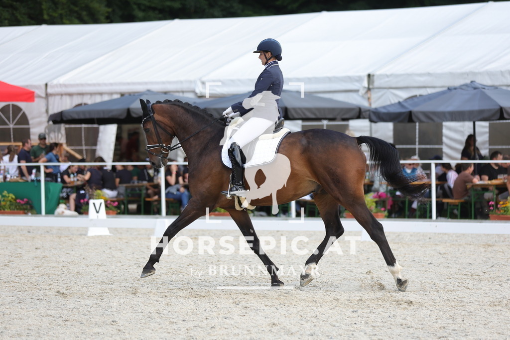 0P6A0713 | Willkommen bei Brunnmayr - Design & Fotografie – Ihrem Spezialisten für Reitturniere und Pferdeveranstaltungen in Oberösterreich, Salzburg und Bayern! Seit über 17 Jahren sind wir leidenschaftlich dabei.