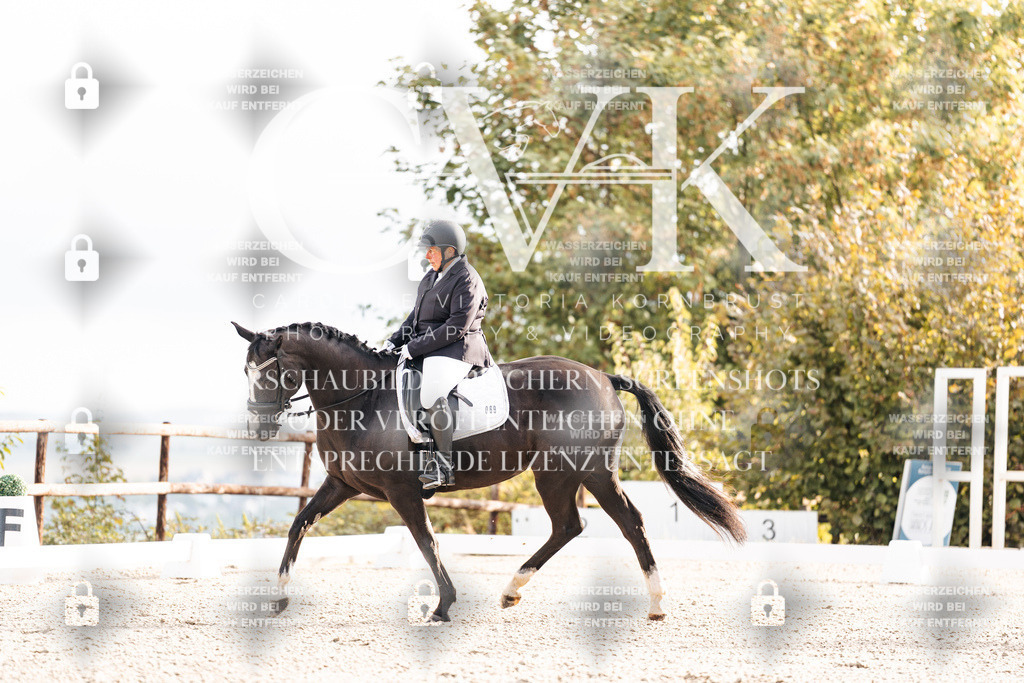 CK900329 | Turnierfotografie Pferdefotografie Trier Rheinland-Pfalz Pferdesport Reitsport Tierfotografie Sportfotografie Pferdevideo Pferdevideografie Equestrianvideography equestrianphotography  - Realisiert mit Pictrs.com