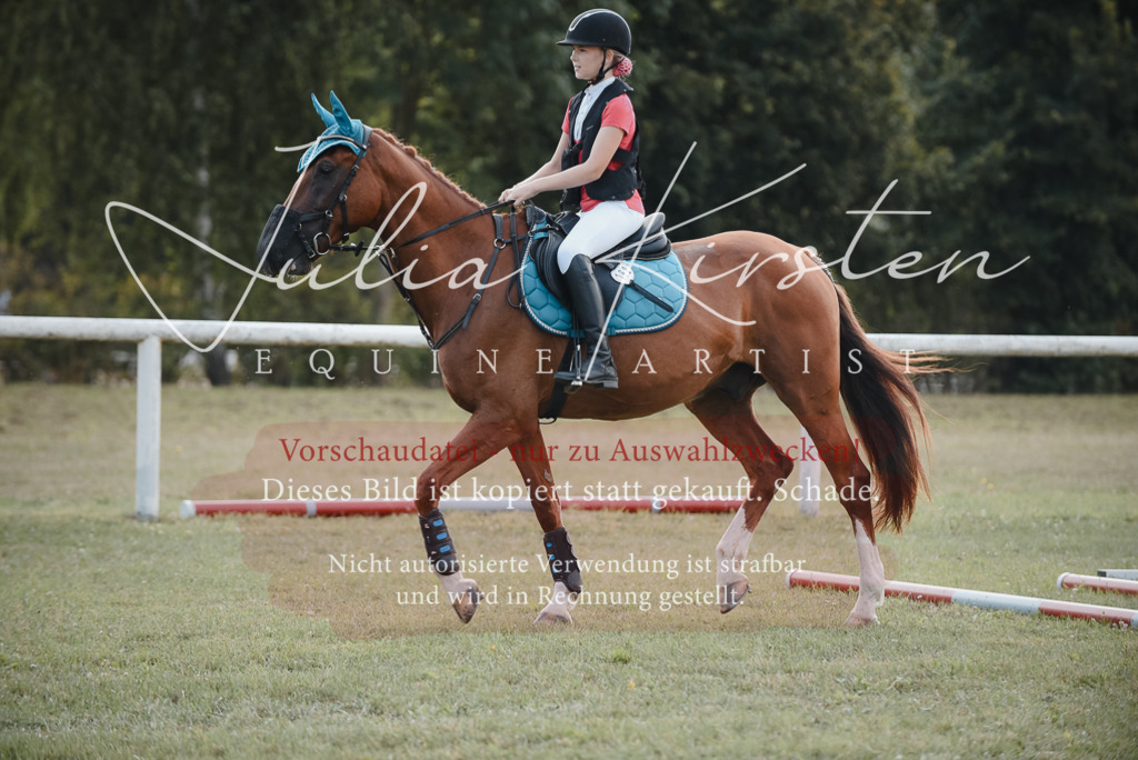 DSC_5292 | Pferde- und Turnierfotografie in Westsachsen. Pferdeportraits, Auftragszeichnungen und intuitive Kunst.