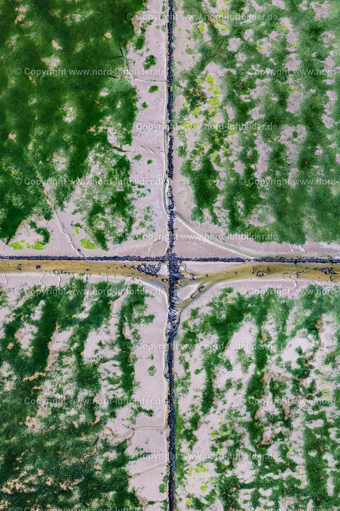 Sylt_Morsum_Hindenburgdamm_Küstenschutz_Verschlickungsbefestigung_Grünalgen_Senkrechtaufnahme_ELS_0448130825 | SYLT 13.08.2025 Senkrecht- Luftbild aus der Satelliten- Perspektive vom Wattenmeer der Nordsee- Küste am Hindenburgdamm bei Sylt auf der Insel Sylt im Bundesland Schleswig-Holstein, Deutschland. // Vertical aerial view from the satellite perspective of the wadden Sea of North Sea Coast on Hindenburgdamm in Sylt on Island Sylt in the state Schleswig-Holstein, Germany. Foto: Martin Elsen