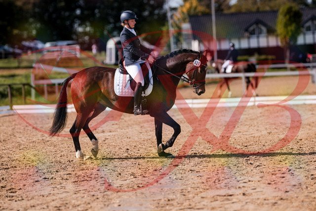 2026_10_03_Siefer-Hof_125750_Z81_46826823 | Professionelle Reitsport-, Turnier- und Eventfotografie von Robert Broda. Galerien mit ausgewählten und bearbeiteten Bildern direkt online ansehen und bestellen.