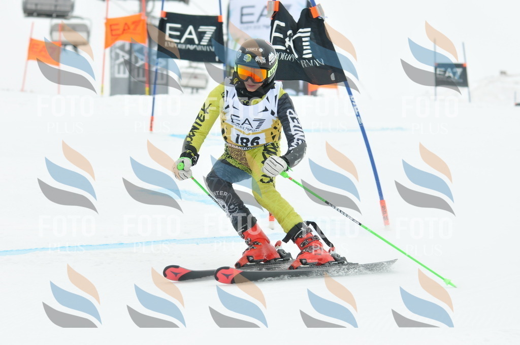 DSC_8713 | holidayphoto