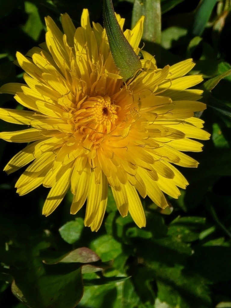 20250410_160716 | Heilkarten - Realisiert mit Pictrs.com