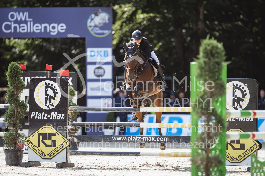 240914_OWLCh_AmateurM-500 | Deine schönsten Turniermomente als professionelle Fotos! Entdecke hochwertige Pferdesport-Fotografie im Online-Shop. Jetzt Fotos finden & bestellen!