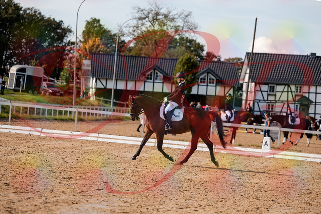 2026_10_03_Siefer-Hof_131022_Z63_72759531 | Professionelle Reitsport-, Turnier- und Eventfotografie von Robert Broda. Galerien mit ausgewählten und bearbeiteten Bildern direkt online ansehen und bestellen.
