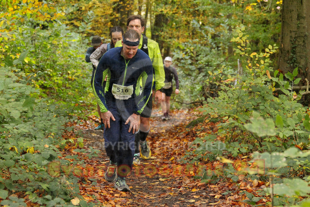 251026_1245_EV4_5728 | Sportfotografie im Rhein-Sieg Kreis, Köln, Bonn, NRW, Rheinland Pfalz, Hessen, etc. Unser Tätigkeitsfeld umfasst den Laufsport vom Volkslauf über den Marathon, Duathlon, Triathon bis zum Ultralauf wie Kölnpfad Ultra oder Schindertrail.