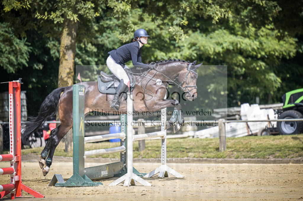DOS_3446 | Entdecke hochwertige Reitturnierfotos von Foto Oger. Professionell, emotional und authentisch – jetzt Lieblingsmomente im Shop bestellen.Deutschlandweite Turnierfotografie. - Realisiert mit Pictrs.com
