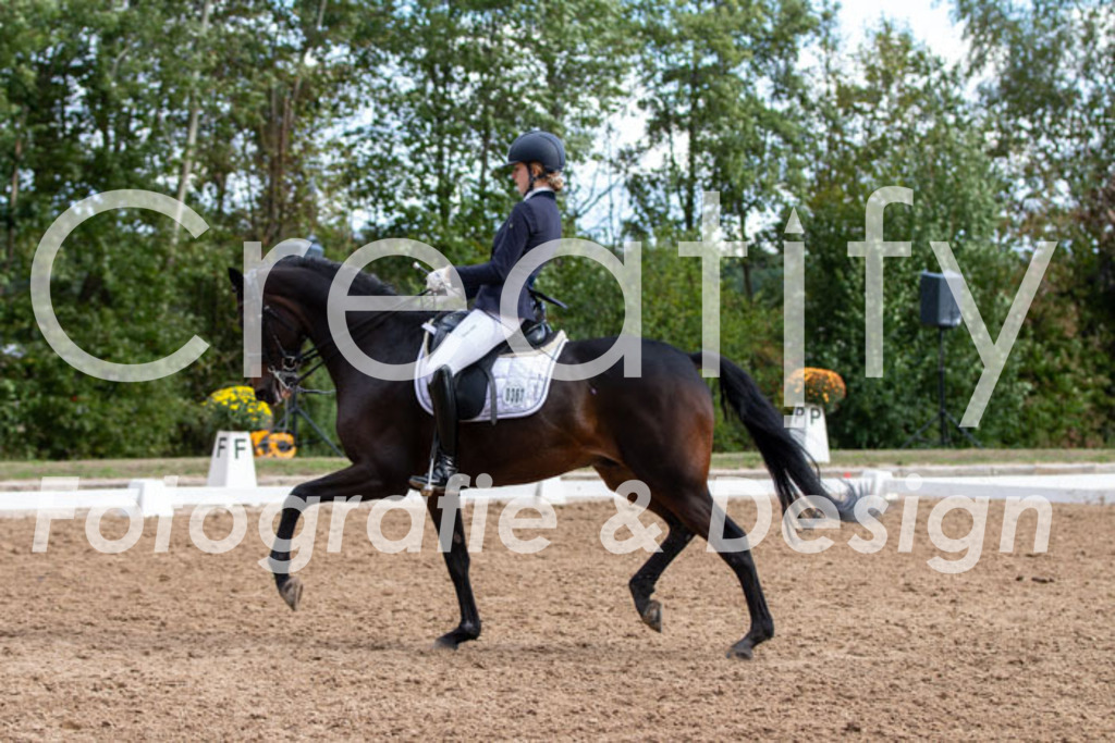 IMG_5435 | Creatify Fotografie