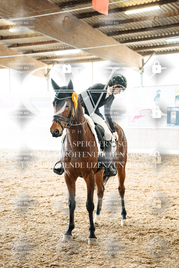 CK703129 | Turnierfotografie Pferdefotografie Trier Rheinland-Pfalz Pferdesport Reitsport Tierfotografie Sportfotografie Pferdevideo Pferdevideografie Equestrianvideography equestrianphotography  - Realized with Pictrs.com