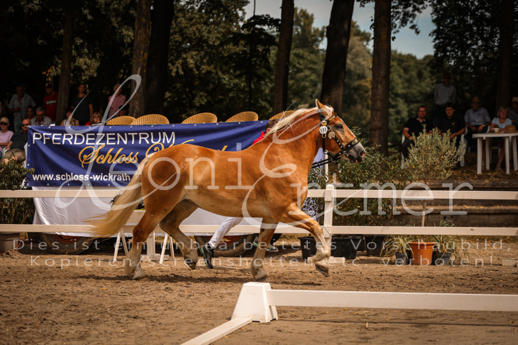 3.Sa00052 | Leoni Ertmer Photography - Realisiert mit Pictrs.com