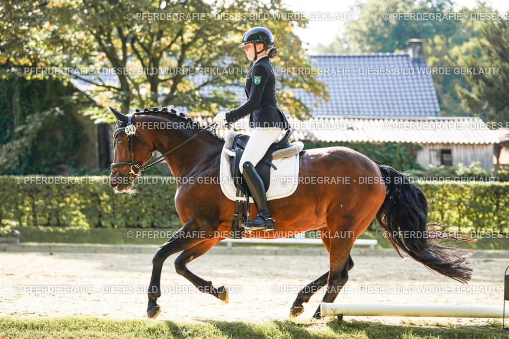 DSC07272 | Pferdegrafie