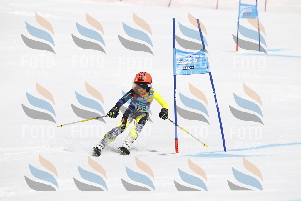 _U3G4214 | holidayphoto