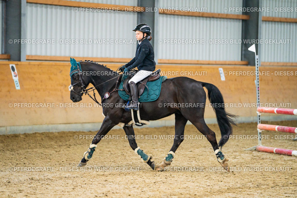 DSC00479 | Pferdegrafie