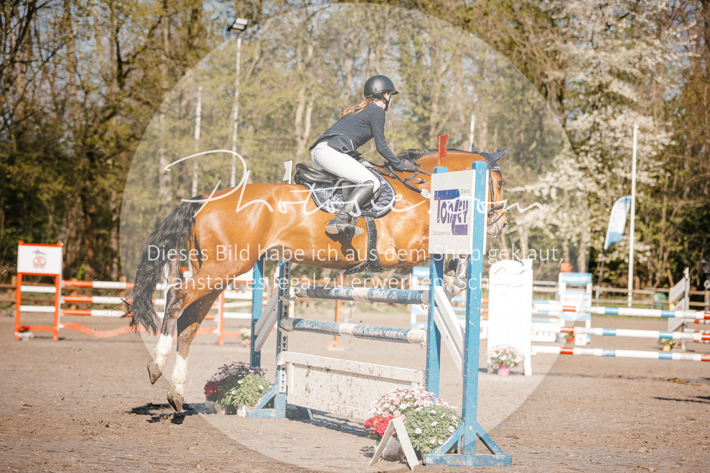 3I6A3643 | Stimmungsvolle Portraits und Reitsportfotografie im Ruhrgebiet und im Münsterland.

Pferdefotografie, Hundefotografie, Tierfotografie, Reportagen, Portraits von Tier und Mensch, Turnierfotografie in Bochum, Recklinghausen, Marl, Haltern am See, Dülmen.. - Realisiert mit Pictrs.com