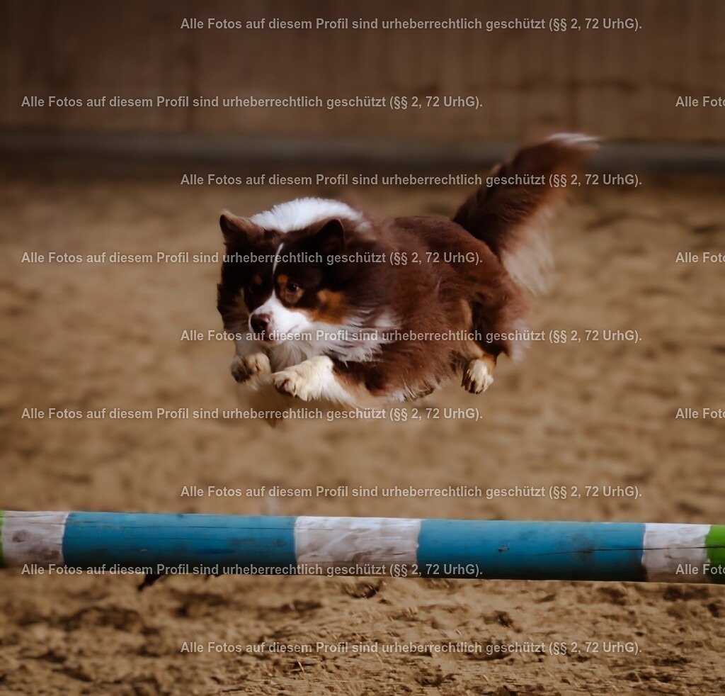 1P5A7336_5 | krollfotografie - Realisiert mit Pictrs.com