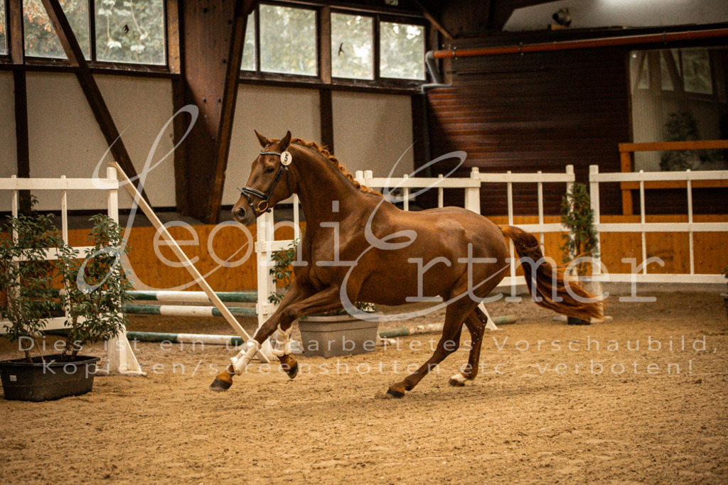 1FS_L00073 | Leoni Ertmer Photography - Realisiert mit Pictrs.com