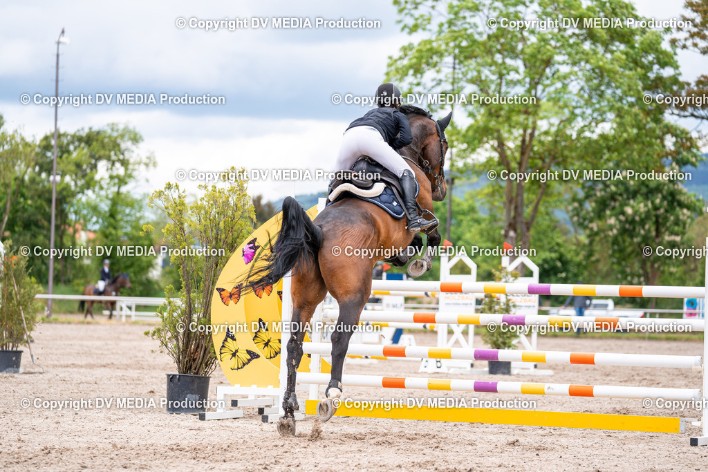 Eppelheim Tag 1-235 | dv-media-shop - Realisiert mit Pictrs.com