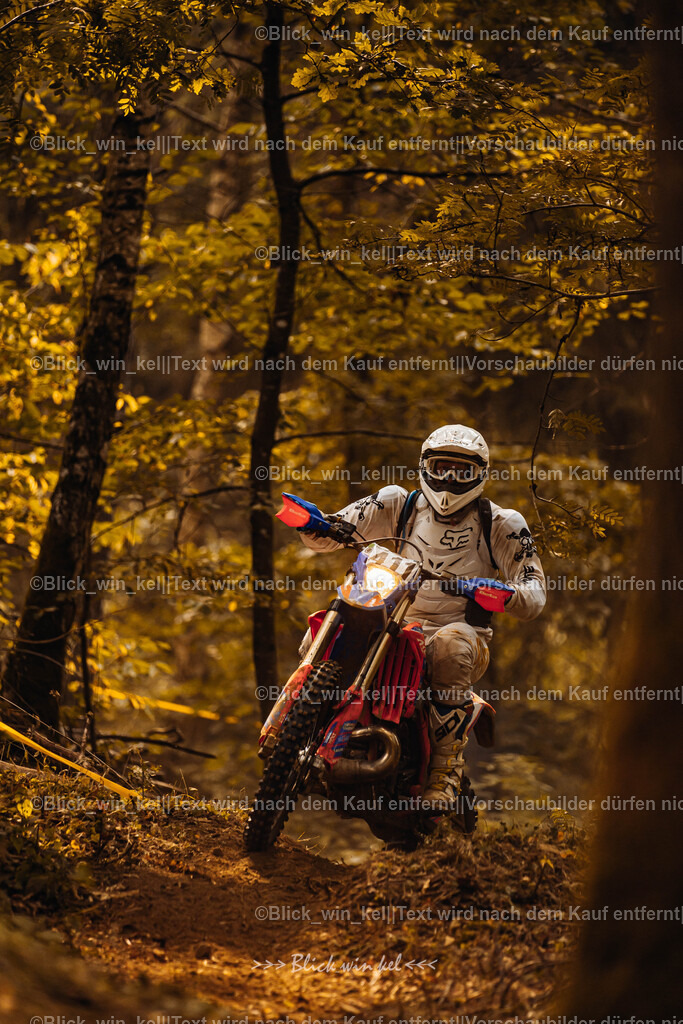 E68A3974 | blick_win_kel