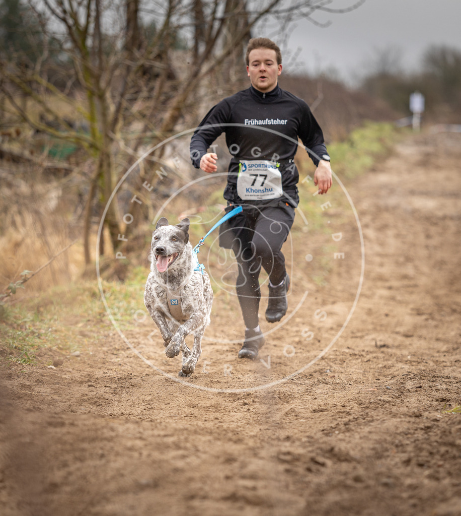 DV3A9806 | Hundefotografie, Tierfotograf, Pfotenfotografie, Fotoshooting Hund, Hunde Portrait, Hundesport, Hundeportraits, Heideshooting, Hunde, Sportfotograf, Hundefotograf, Turnierhundsport, THS,  - Realisiert mit Pictrs.com