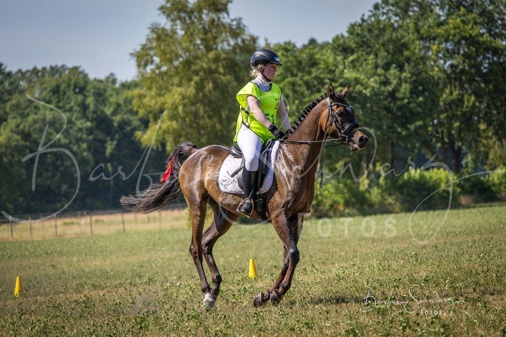 CJP_2026-06-26_179 | Stimmungsvolle Fotografie von Pferden, fotografische Begleitung von Veranstaltungen, Golfturnieren und Distanzritten - Realisiert mit Pictrs.com