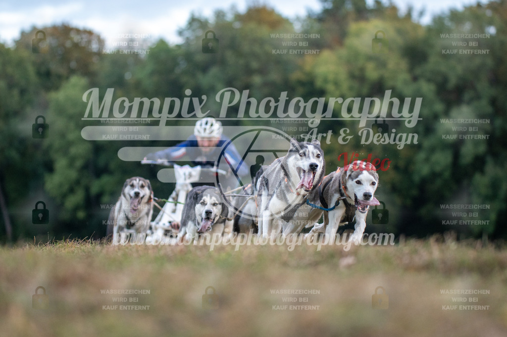 CDLBDB_15_10_2023_Dimanche-27 | PayLife