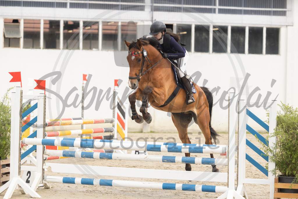 994A9425 | sabrinanicolaifotografie - Realisiert mit Pictrs.com