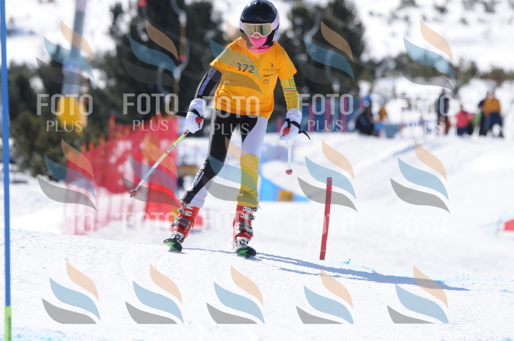 C8922 | holidayphoto